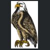 Computer Messenger Thumbnail