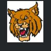 Computer Messenger Thumbnail