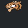 Computer Messenger Thumbnail