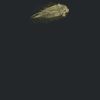 Computer Messenger Thumbnail