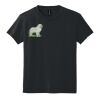 Youth DryBlend ® 50 Cotton/50 Poly T Shirt Thumbnail