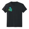 Youth DryBlend ® 50 Cotton/50 Poly T Shirt Thumbnail